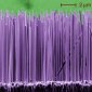 Floating Nanowires Could "See" Biological Structures Smaller Than a Single Cell