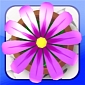 Flower Garden Arrives on Windows Phone