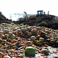 Food Waste Anaerobic Digestion Plant Opens in Wales, UK