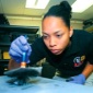 Forensic Examiners Get Physical Imaging Support for iPad with MPE + 4.2