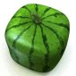 Forget Viagra, Eat Watermelon
