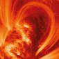Formation of Quiescent Coronal Loops Photographed