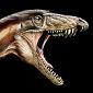 Fossil Illuminates the Earliest Years of Dinosaurs' Evolution