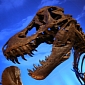 Fossil Remains of Dueling T. Rex and Triceratops Will Soon Be Auctioned Off