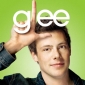 Fox Puts ‘Glee’ on Hold in Mid-Season