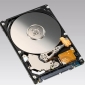 Fujitsu Announce 320 GB on a 2.5-inch disk