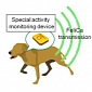 Fujitsu Smart Collar Tells the Cloud What Your Pooch Is Doing