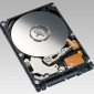 Fujitsu Ups the Storage Ante: 500 GB On a 2.5-Inch Disk