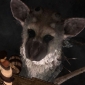 Fumito Ueda Confirms The Last Guardian Is Still in Development