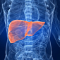 Functional Human Liver Created from Stem Cells for the First Time Ever