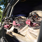 Funny Dogs Looking Out of Car Windows Get Hilarious Calendar