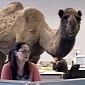 GEICO Hump Day Commercial Goes Viral but Not Everybody’s Laughing