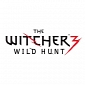 Gamescom 2013 Hands Off: The Witcher 3: Wild Hunt (PC)