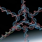 Genetic Origami Snippets Developed at MIT