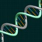 Genetic-Screening Guidelines to Prevent Bioterrorism