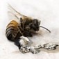 No, Genetically Modifying Bees Into Construction 3D Printers Is Not a Good Idea