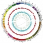 Genome Architecture Variations Underly Differences in Humans