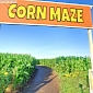 Get Lost in This Street View Corn Maze Without Leaving Your Chair