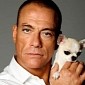 Get Ready for the Jean Claude Van Damme “Kickboxer” Reboot
