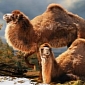 Giant Camel Fossils Unearthed in Canada's High Arctic