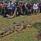 Giant Crocodile That Killed Four People Is Finally Captured in Uganda