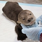 Giant Otter Pup Born at Wildlife Park in Asia