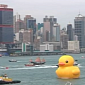 Giant Rubber Duck Makes Surprise Appearance in Hong Kong