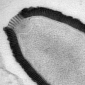 Giant Siberian Virus from 30,000 Years Ago Revived