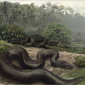 Giant Snake Fossils Unearthed