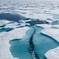 Giant Waves Fracture Sea Ice Hundreds of Miles from Its Edge