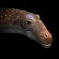 Ginormous Dinosaur Had a Tiny Brain, Almost As Big As a Tennis Ball