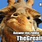 Giraffe Riddle Goes Viral, Makes Users Change Facebook Profile Pictures