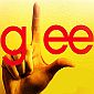 Glee Themed Karaoke Revolution Announced