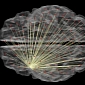 Global Brain Connectivity Determines Intelligence