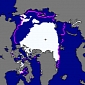 Global Warming Devastated the Arctic This August