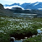 Global Warming Fosters Forests in the Arctic