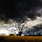 Global Warming Likely to Foster Severe Thunderstorms in the US