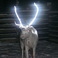 Glow-in-the-Dark Reindeer Can Now Be Spotted in Finland