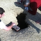 Golfer Is Swallowed by Sinkhole in Illinois, Survives