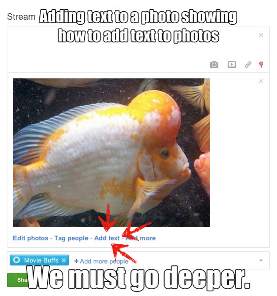 Google+ Becomes a Meme Machine, You Can Add Caption Text ...