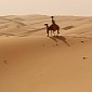 Google Collects Liwa Desert Images with Camel Trekker