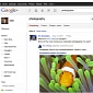 Google+ Finally Adds a Search Feature