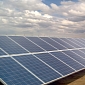 Google Goes Green in South Africa with Solar Farm Investment