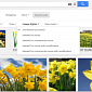 Google Makes It Easier to Filter Image Search Results by Usage Rights