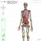 Google Open Sources 3D Body Web App