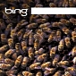 Google Plants a Flag for Labor Day, Bing Uncovers Ugliest Bee Photo Ever