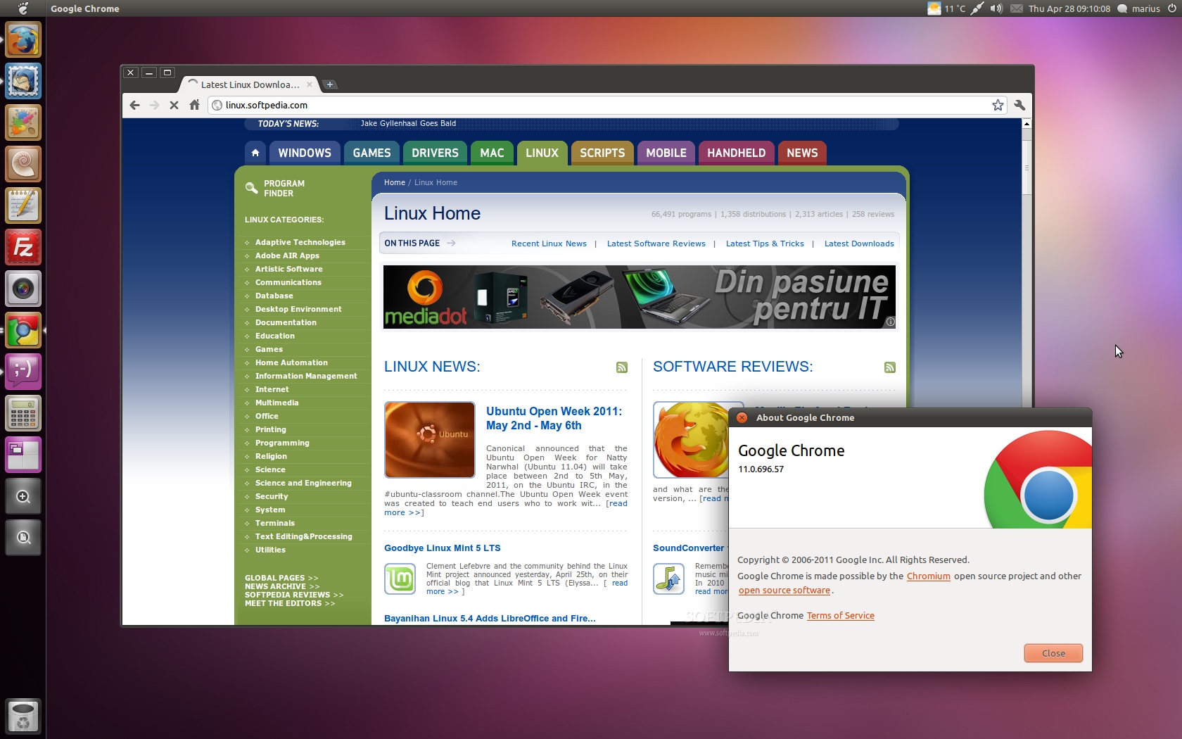 download chrome for windows on linux