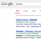 Google Removes Torrentz Homepage from Search Results