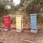 Google's Beekeeping Venture is Flourishing