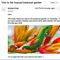 Google’s Decision to Display Images in Gmail Exposes Users to Read Tracking